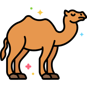 الحاشي